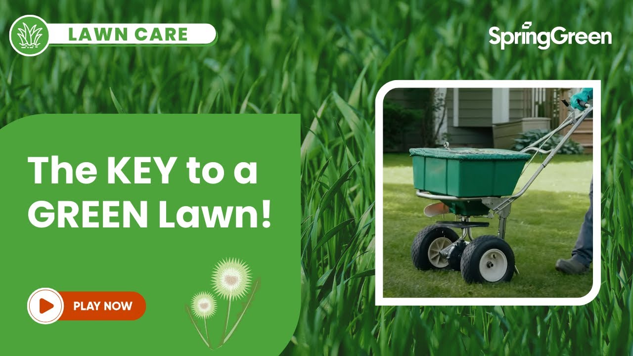 Spring Green Lawn Care Services Explained | Your Lawn Care Experts
