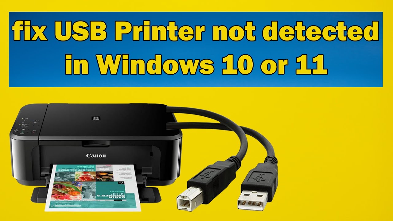 How to fix USB Printer not detected in Windows 10 or 11