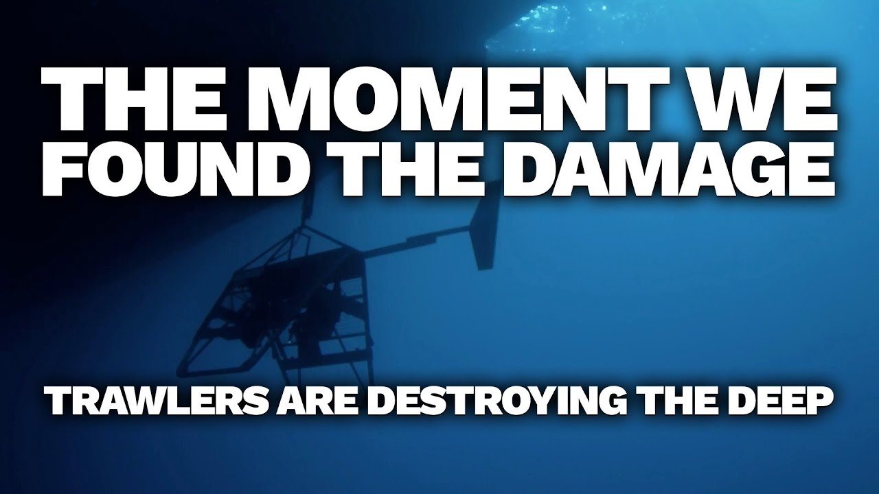 Uncovering the secrets of the deep