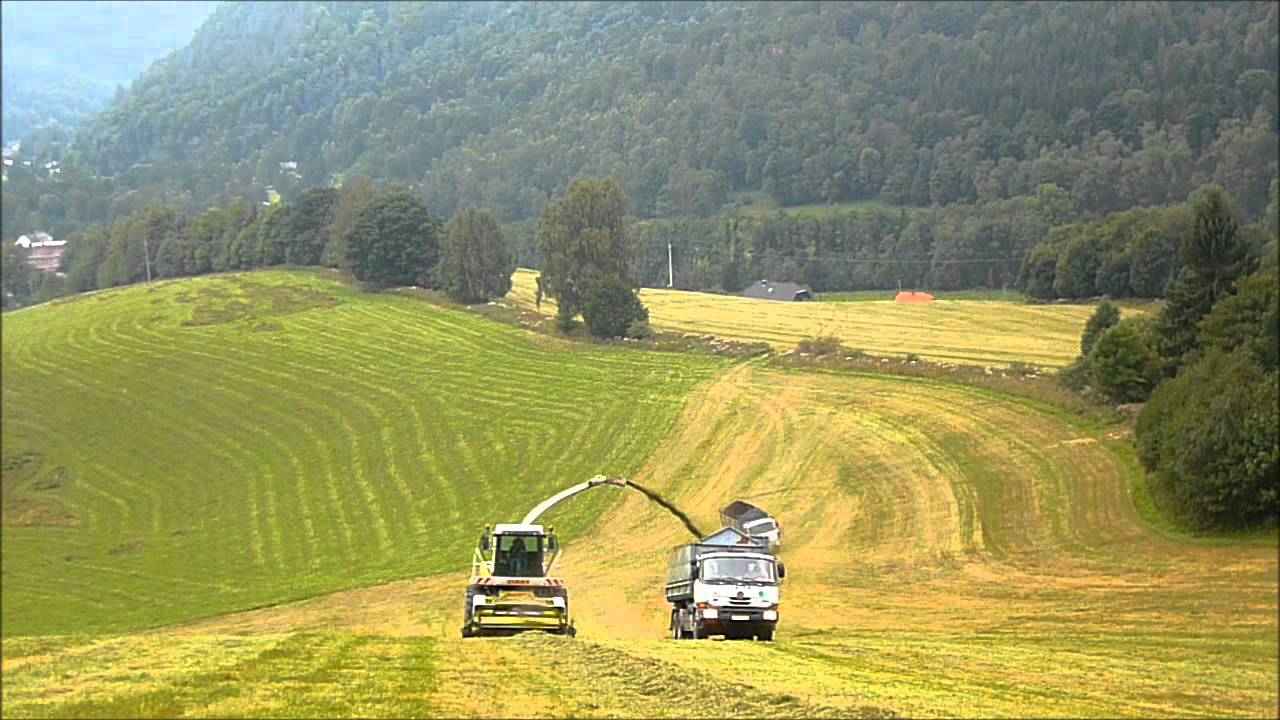Sezona 2012 Agro Měřín a.s.