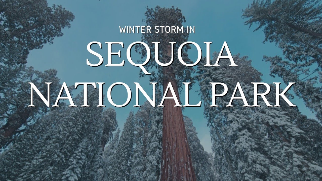 We Found a Hidden Winter Paradise in Sequoia National Park