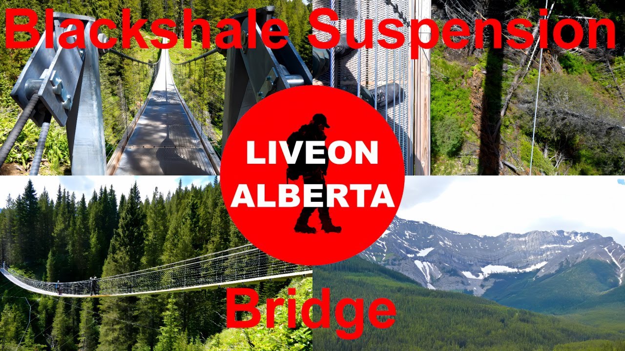 The PERFECT FAMILY HIKE: Blackshale Suspension Bridge #canadianrockies