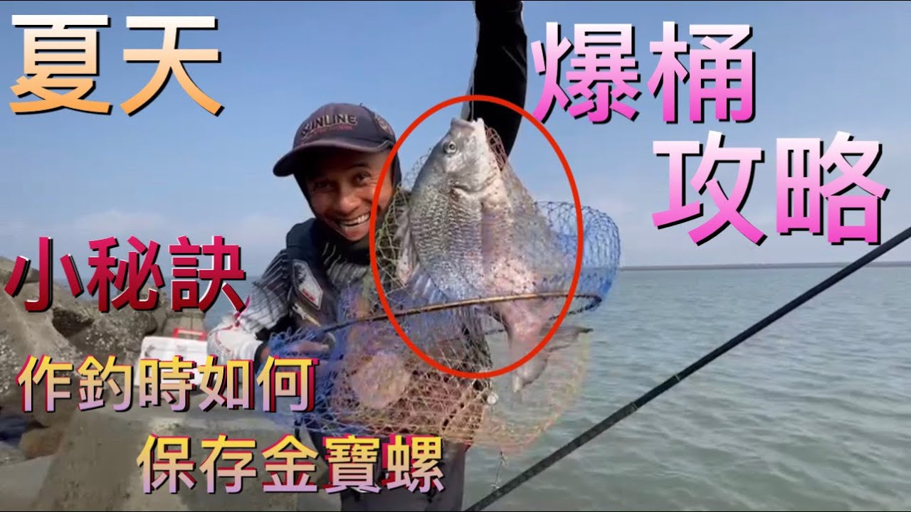 夏天攻略~~金寶螺搭配大咬牌煉餌!不小心又爆桶了,「小秘訣」如何保存金寶螺