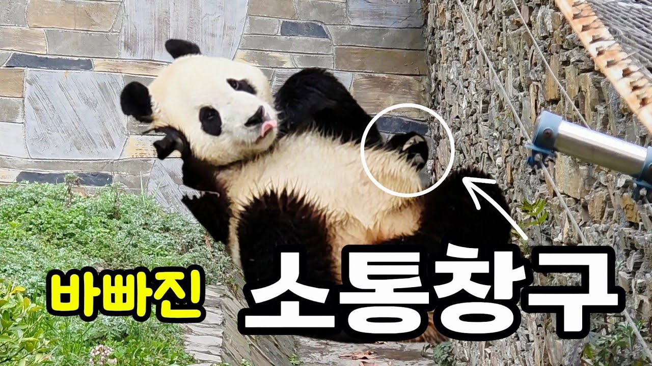 26.3.10 오전1 아침부터 바빠진 소통창구.. 