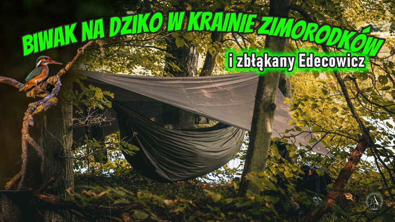 Biwak NA DZIKO i zbłąkany wędrowiec
