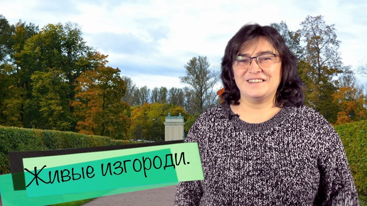 Живые изгороди.