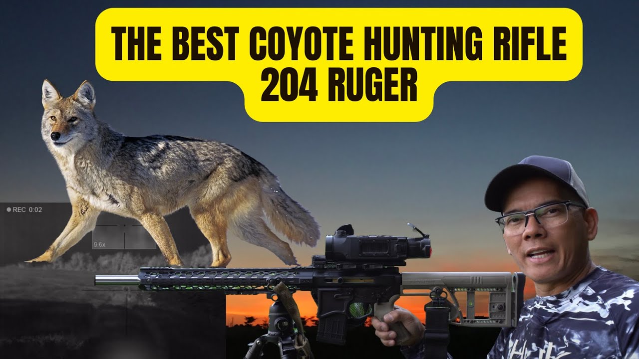 ЛУЧШАЯ винтовка для охоты на койота 204 Ruger