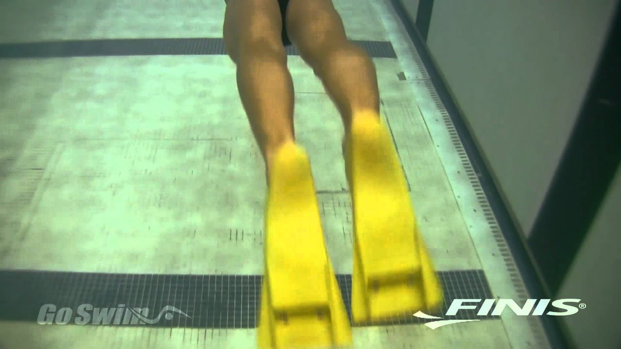 FINIS Z2 Gold Zoomers®: Builds Confidence and Strengthen Muscles During Your Workout