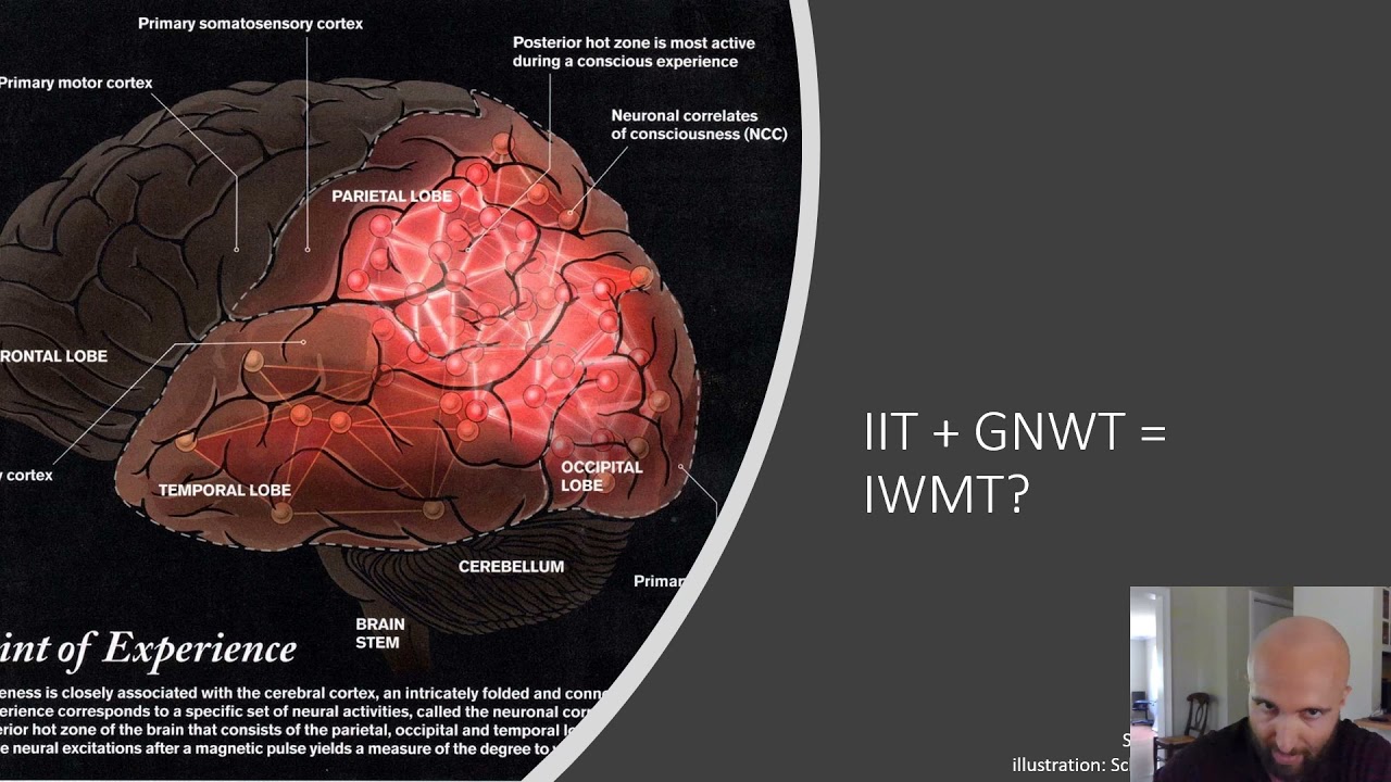 Adam Safron, An Integrated World Modeling Theory (IWMT) of Consciousness