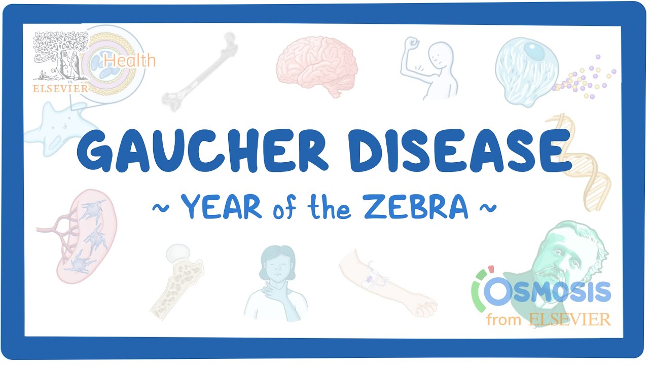 Gaucher disease - NORD (Year of the Zebra)