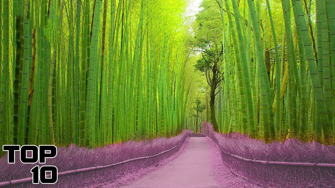 Top 10 Unbelievable Places On Earth You Won't Believe REALLY Exist