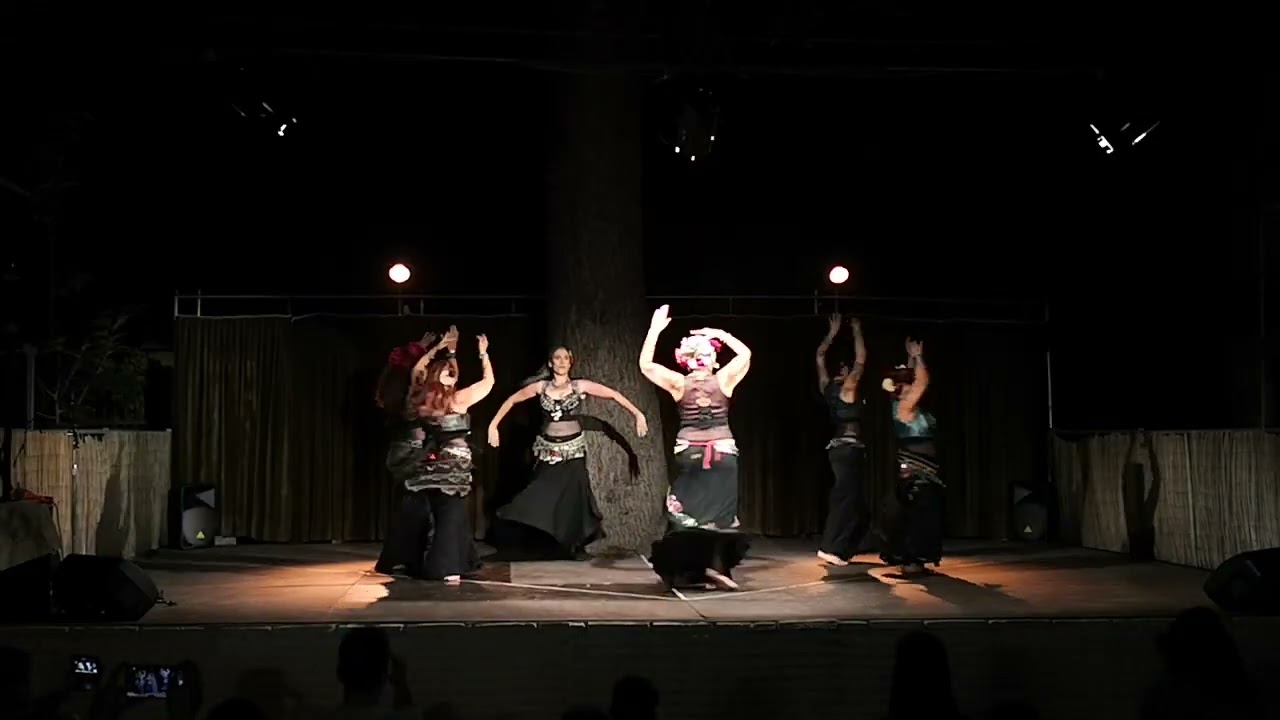 Global Caravan Italia sul palcodel festival di Lodi