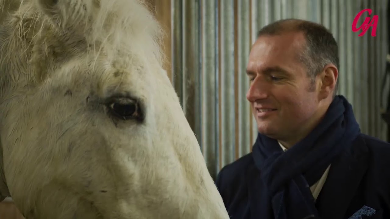 Lipizzaner der Spanischen Hofreitschule auf Gut Aiderbichl