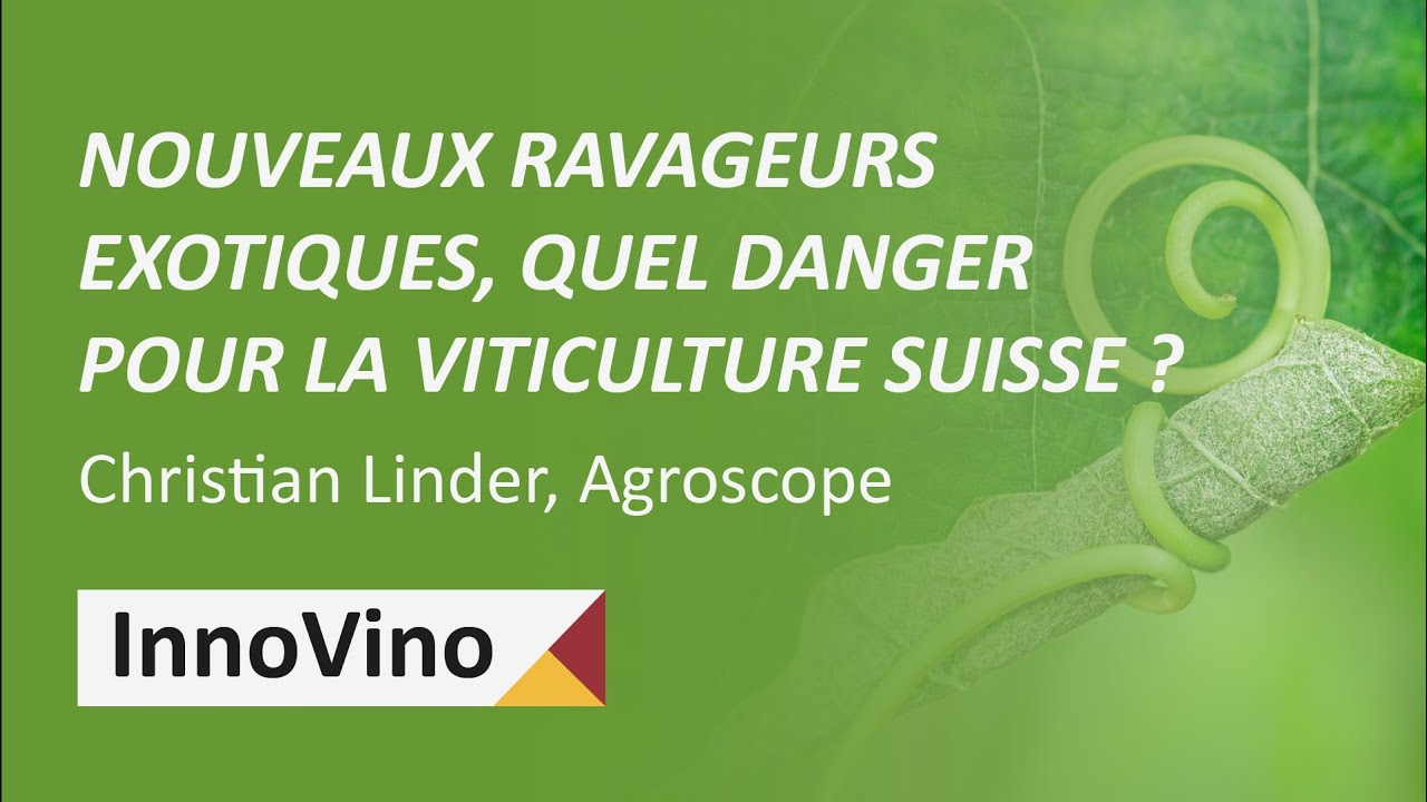 Nouveaux ravageurs exotiques, quel danger pour la viticulture suisse ? - Christian Linder, Agroscope