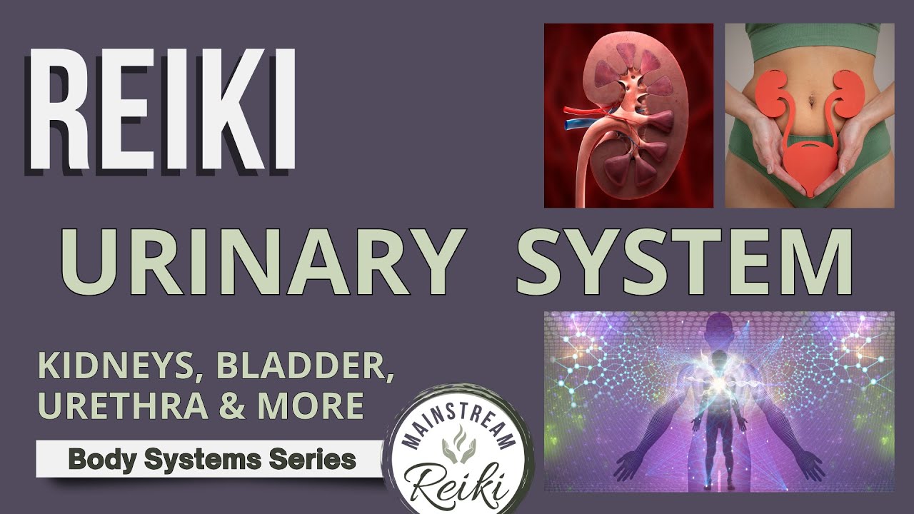 Reiki for Your Kidneys and Urinary System 🥛#8 in Series