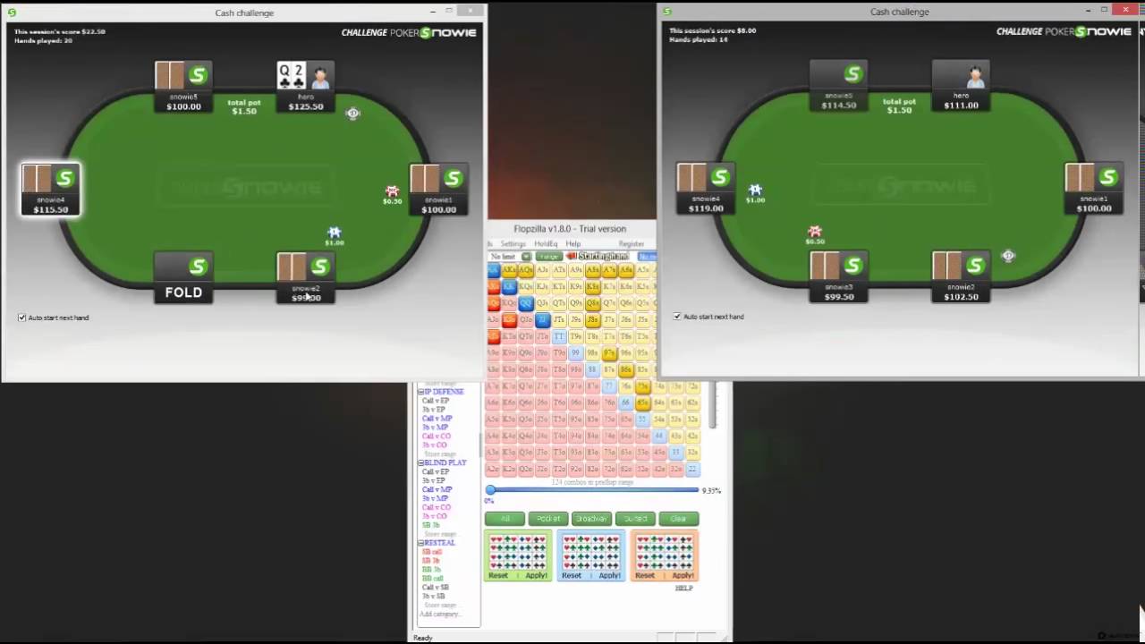 Poker Snowie GTO Study Tool Part 1
