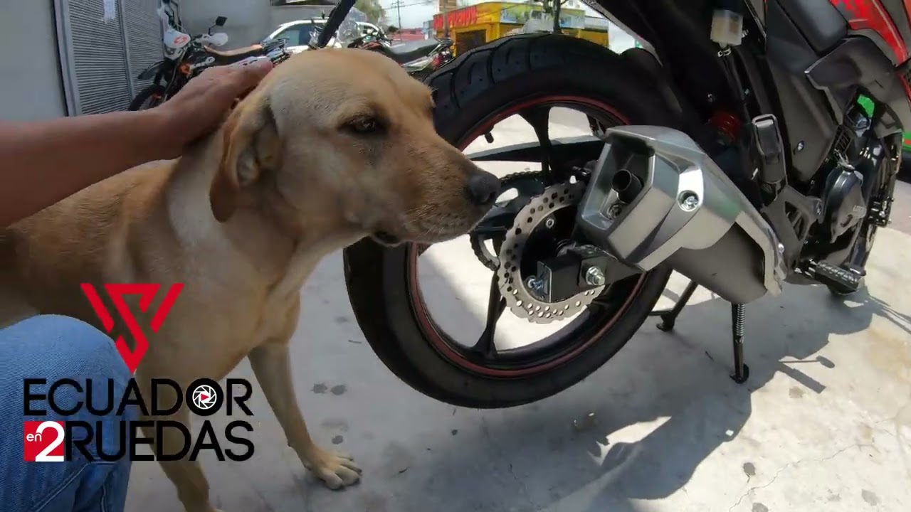 La mejor 200 económica? Pros y Contra loncin pro3 200 año 2024
