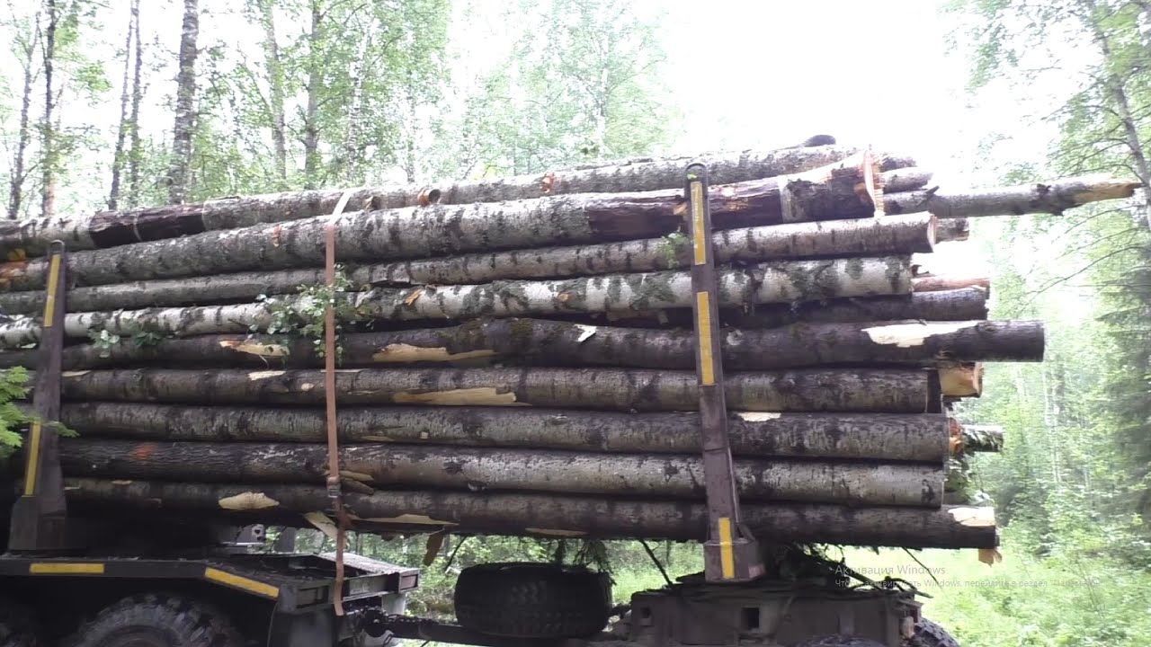 Дрова в России 1500 р. за лесовоз. Не МОЖЕТ БЫТЬ?!