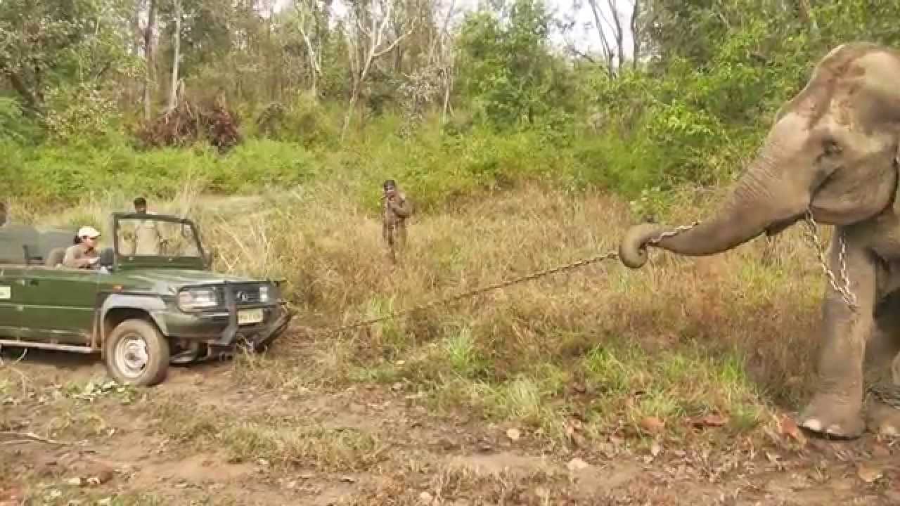 Stuck in Mud