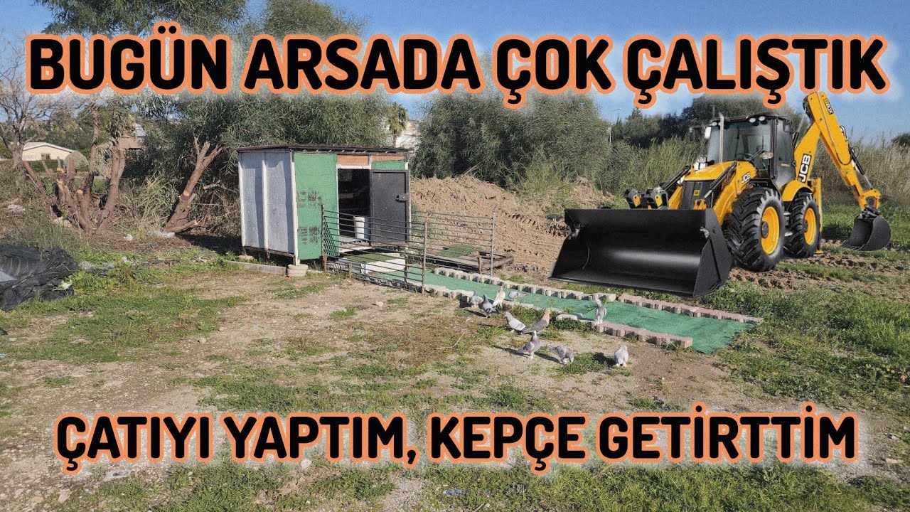 Arsadaki K&uuml;mese B&uuml;y&uuml;k Operasyon Başladı