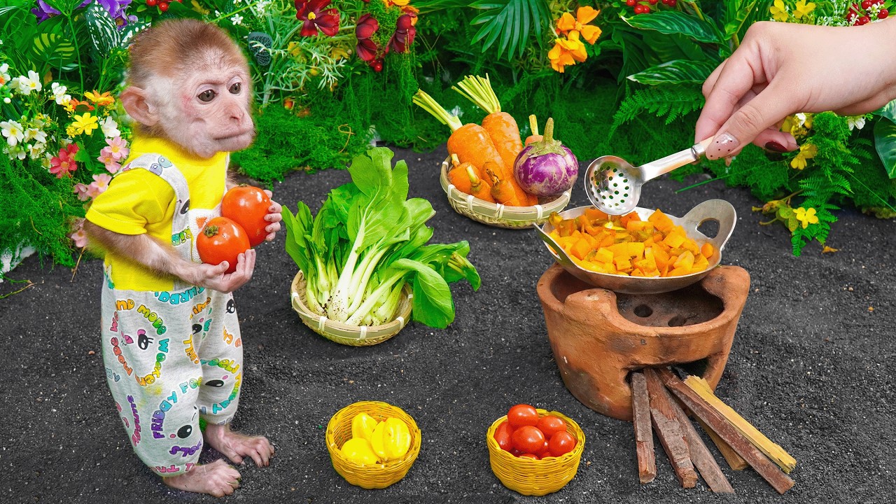 Monkey Xuka helps aunt harvest carrots and eggplants to make a stir-fried dish for breakfast!