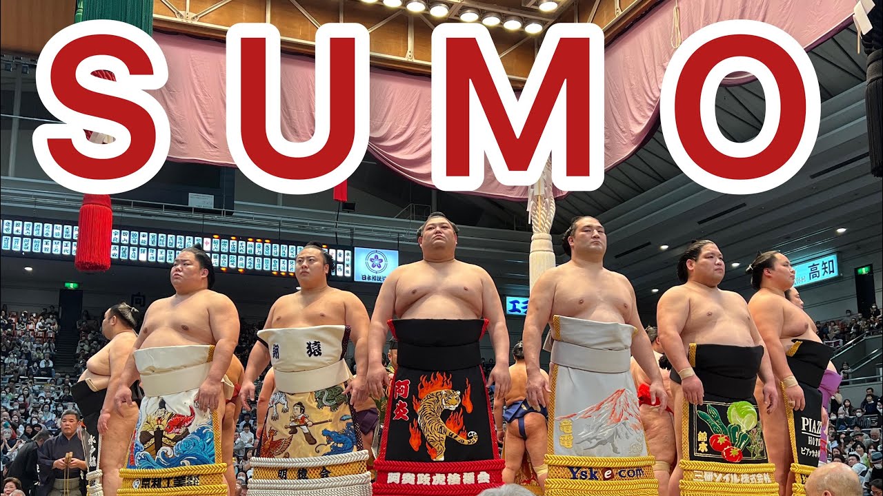 COMBATTIMENTO DI SUMO DAL VIVO IN GIAPPONE