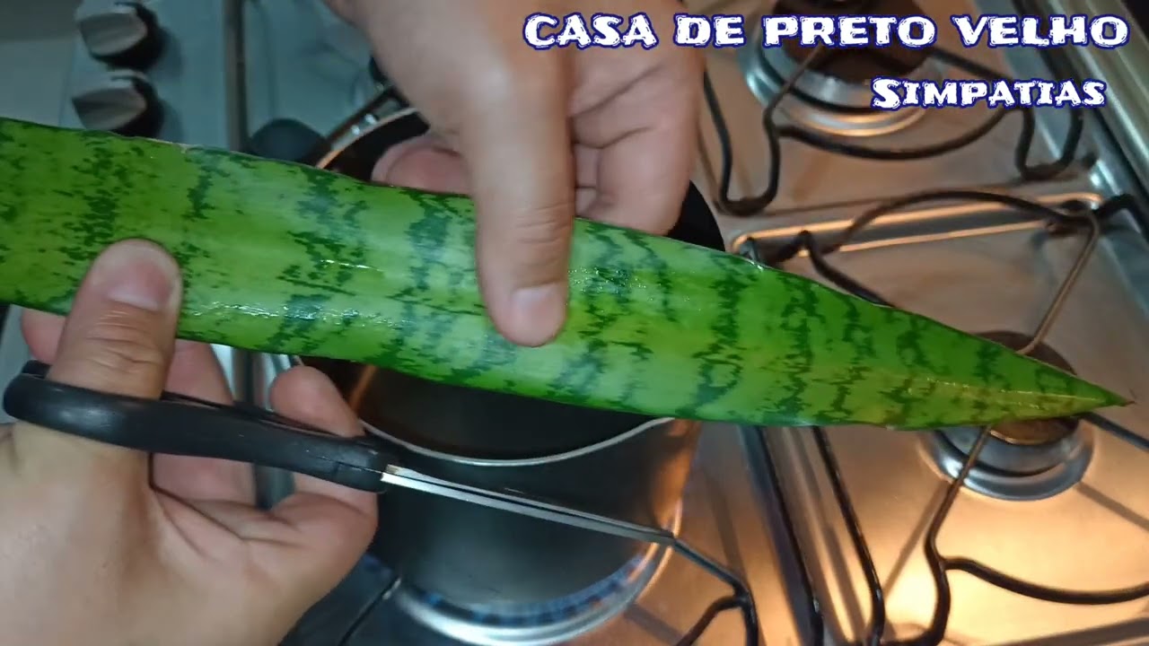BANHO DE OGUM PARA ABERTURA DE CAMINHO EXTREMAMENTE PODEROSO