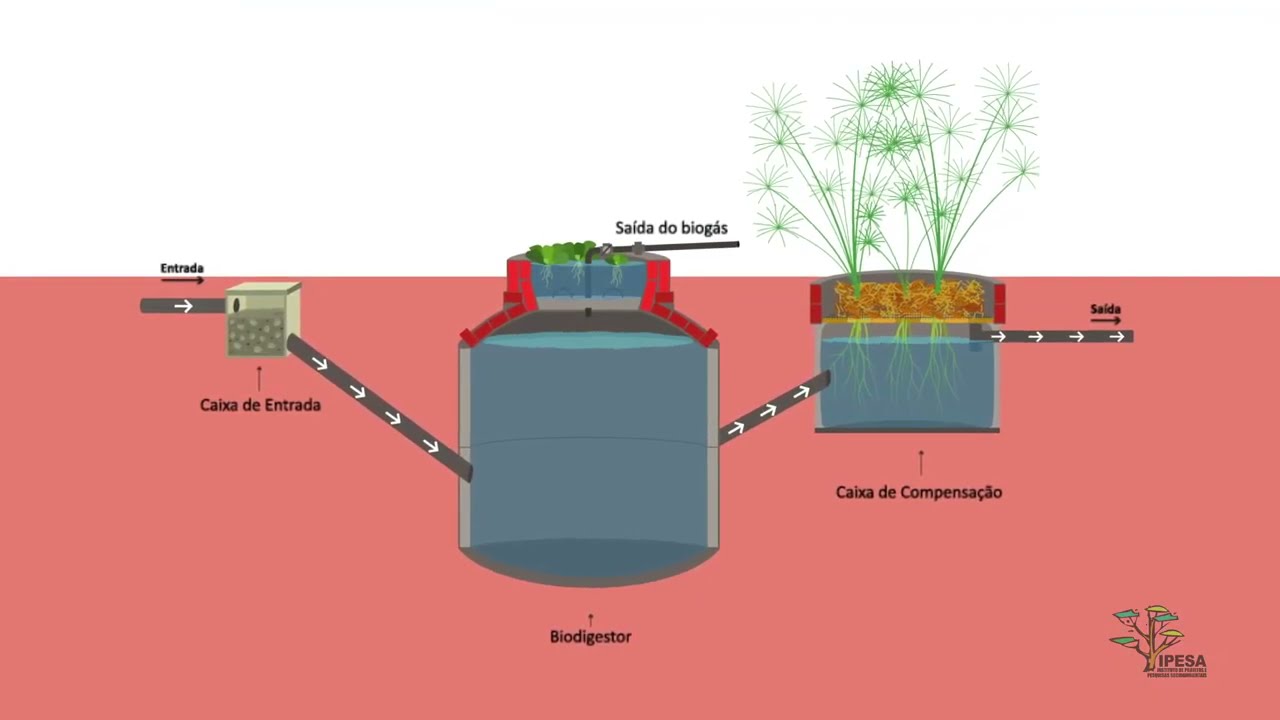 Como construir um biodigestor