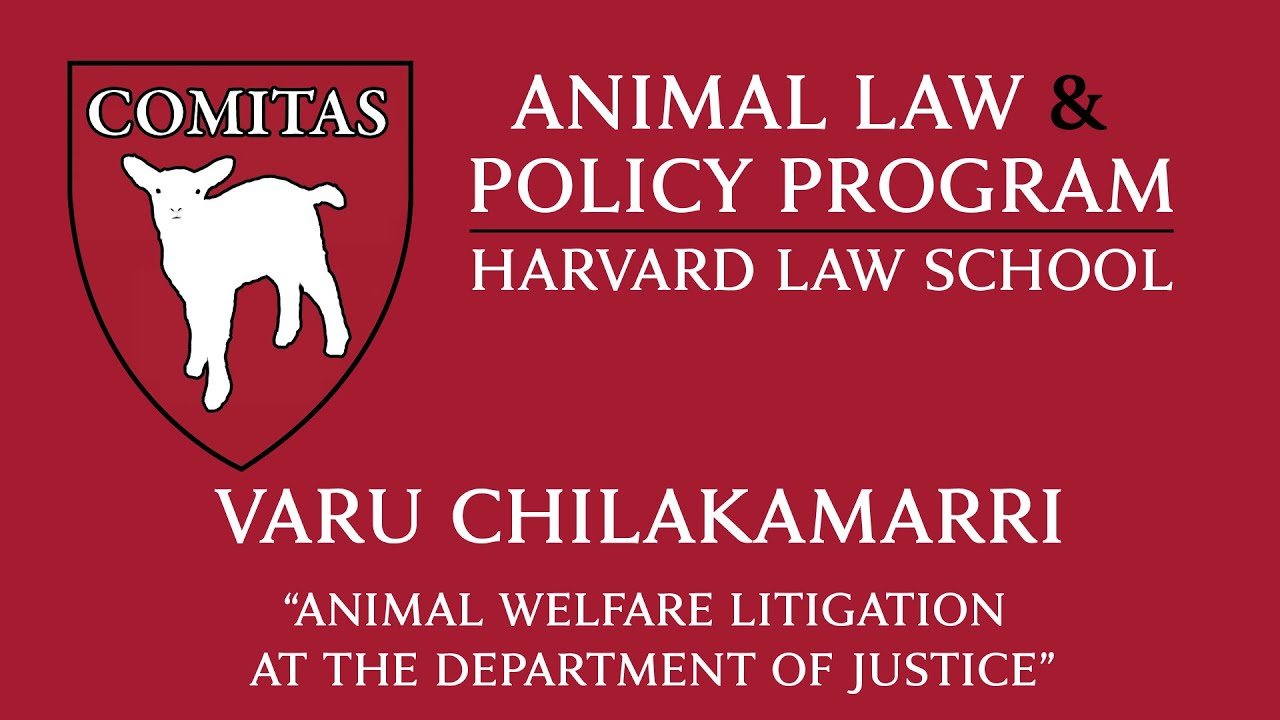 02/26/19: Varu Chilakamarri 