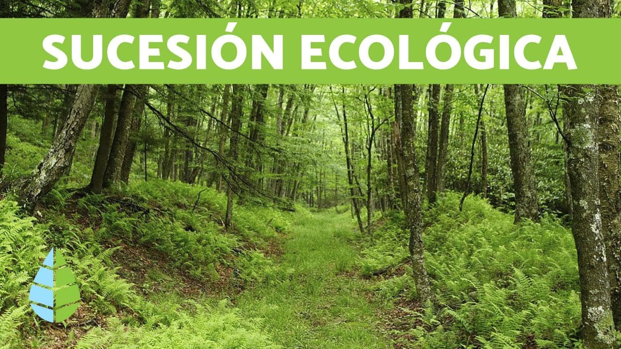 La sucesión ecológica - CAUSAS Y EJEMPLOS