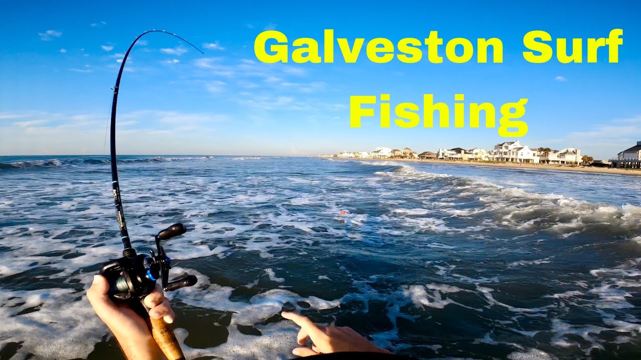 These FISH Were EVERYWHERE In The GALVESTON SURF (Catch & Cook)