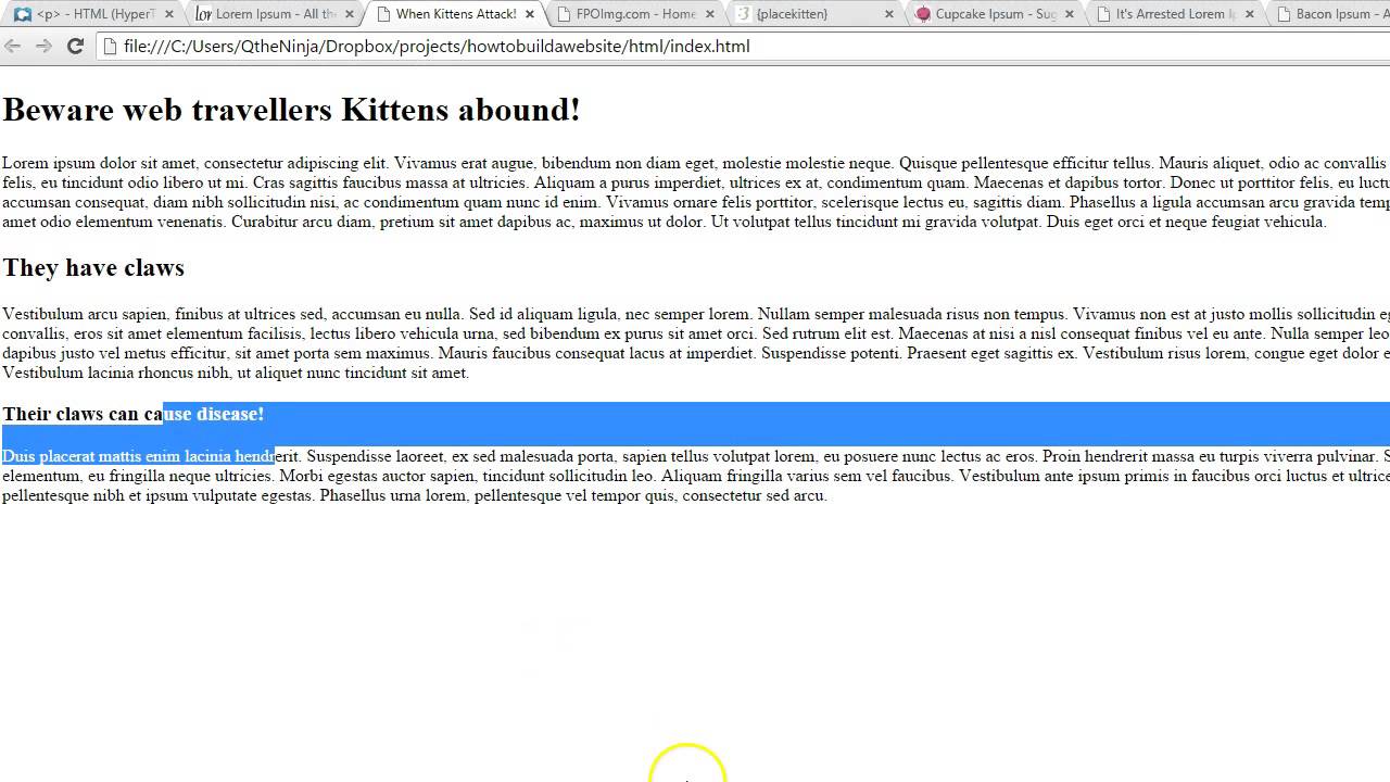 How to Build a website: InLine CSS Example