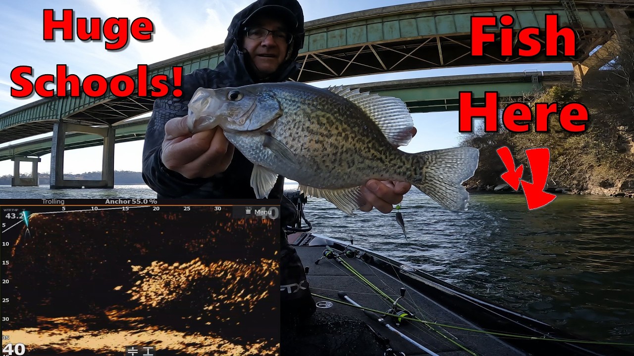 I found a new pattern for huge schools of slab crappie bridge fishing.