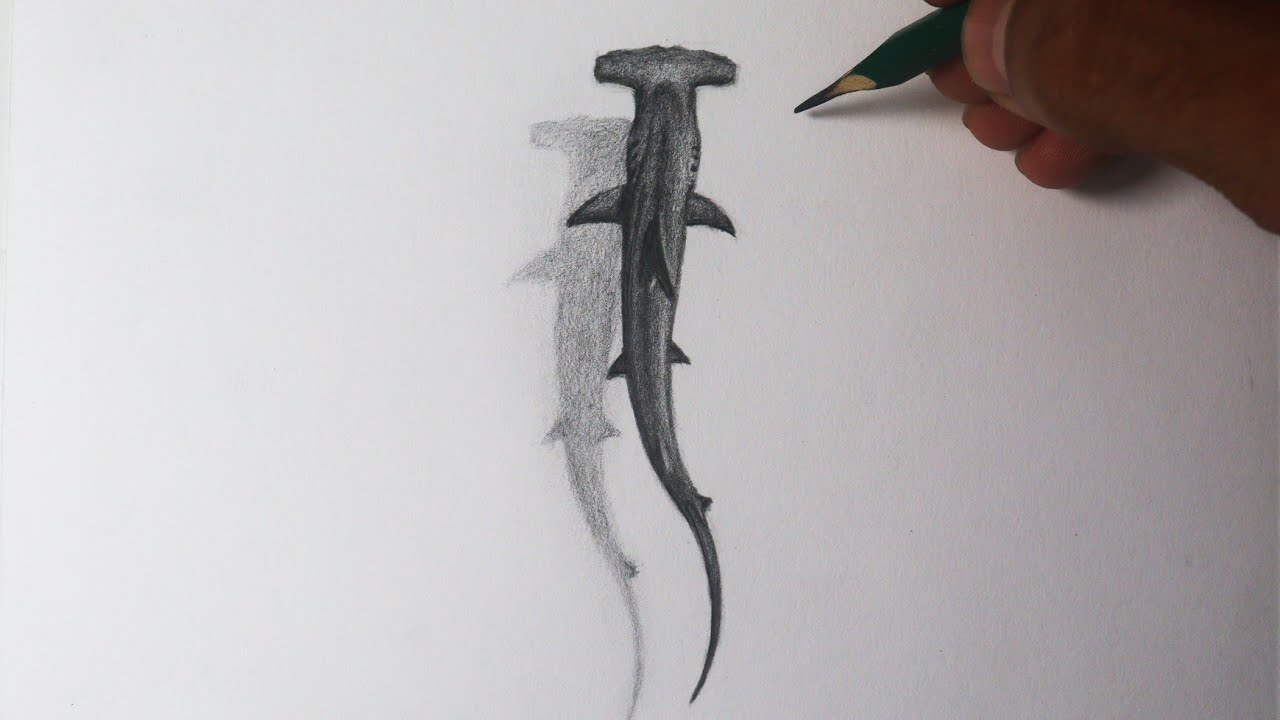 Como desenhar um Tubarão martelo