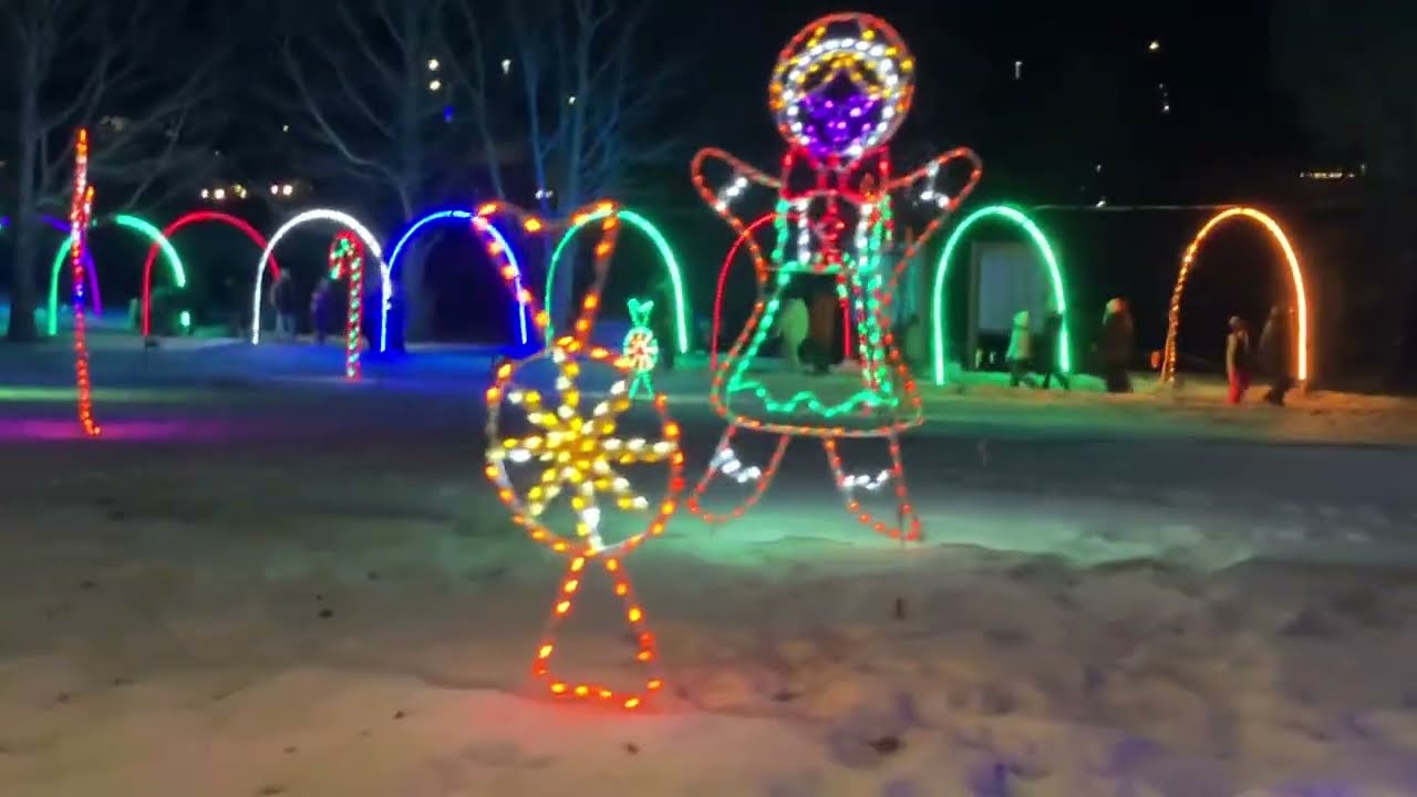 Christmas lights everywhere! Love the Airdrie Festival of lights!