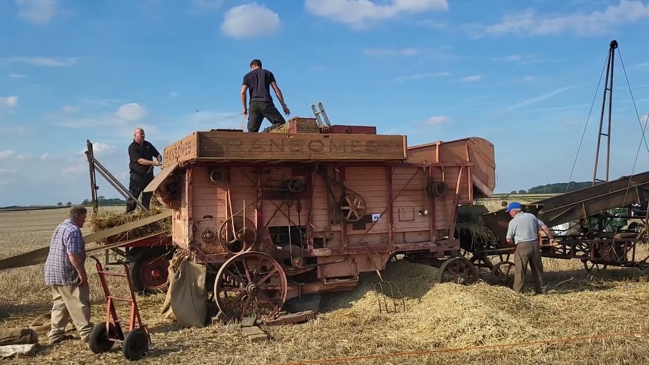 Casterton Vintage Working Event 2023. Ransomes threshing machine