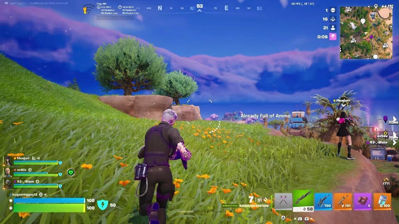 Fortnite fun 