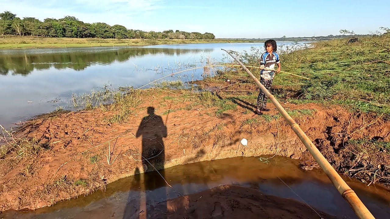 Pescaria de Traíra gigante e Oscar,O Rio secando os buracos vão ficando lotado de Peixe