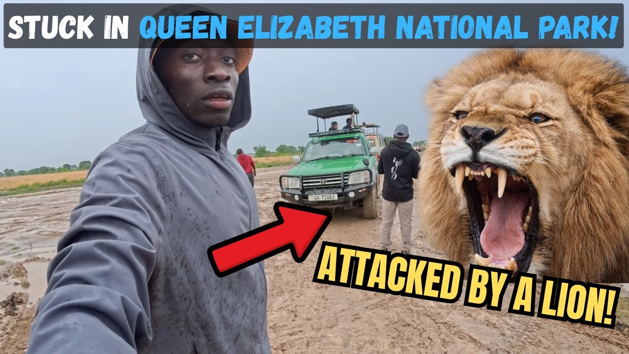 We Got Stuck in Mud at Queen Elizabeth National Park… Then a Lion Appeared! 😱🦁 | Safari Gone Wrong
