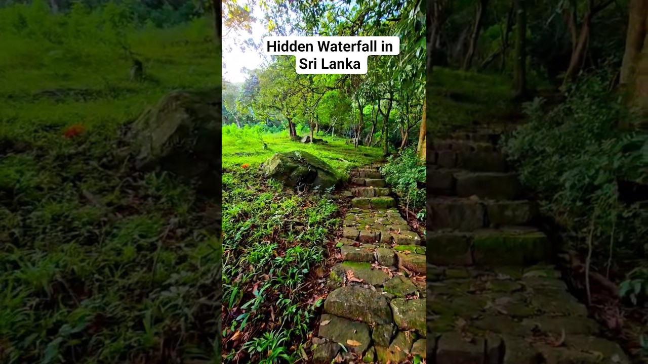 Pathway to a hidden waterfall in Sri Lanka 🇱🇰 #srilanka #travel #waterfall #hiddengems