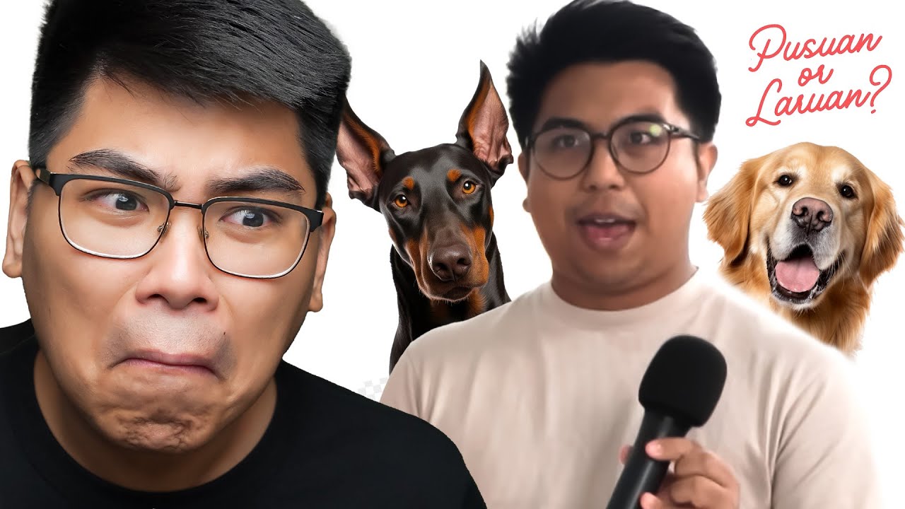 Golden Retriever Boy | Reaction Video