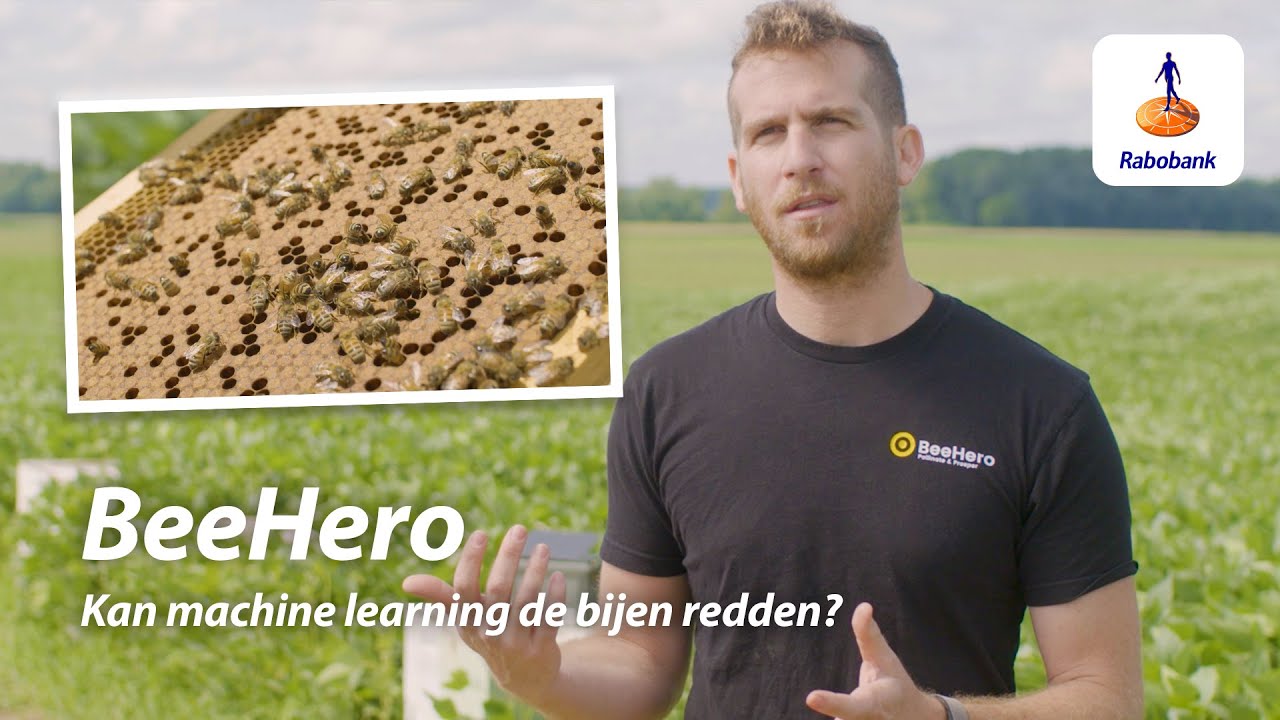 Beehero | Slimme data monitort gezondheid bijen koloniën