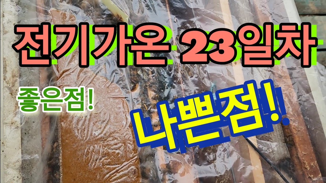 전기가온 23일차 결과보고 합니다 ~