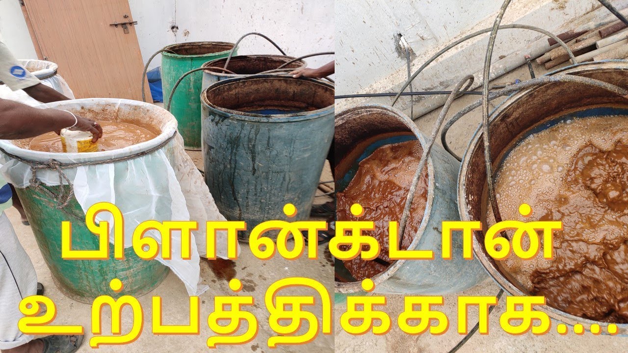 பிளான்க்டான் உற்பத்திக்காக....Plankton Producer for Aquaculture
