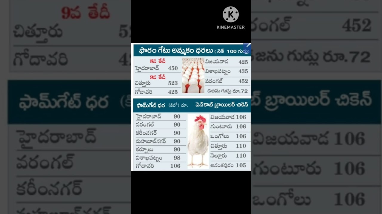 broiler rate today | broiler chicken farming #broilerrates #broilerfarming #shorts #viral