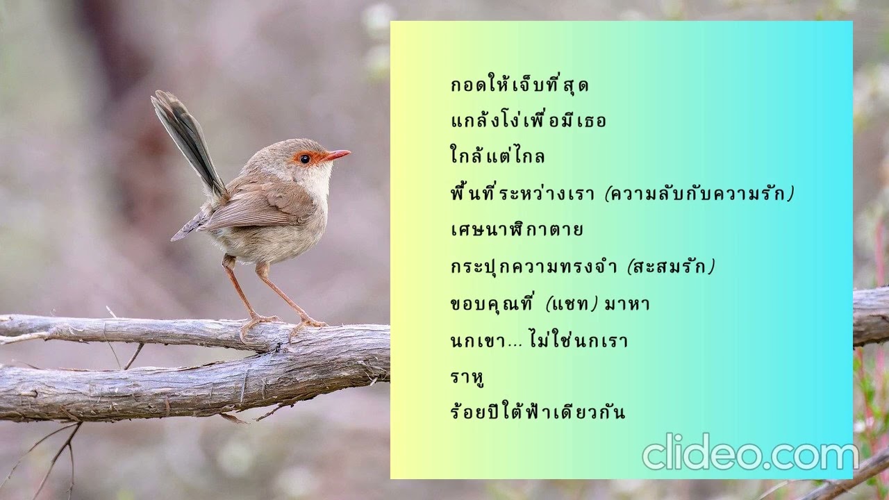 10 เพลงเพราะๆ ฟังสบายๆ