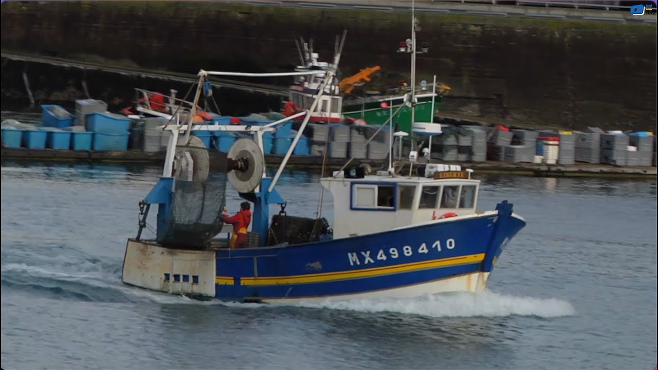 BREST 🇲🇫  |  Le port de pêche   |  Brest Bretagne Télé