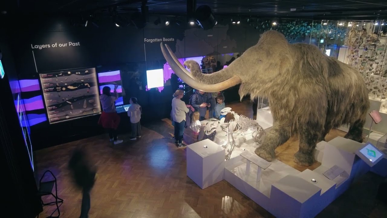 Mildred the Mammoth - February Half Term 2025