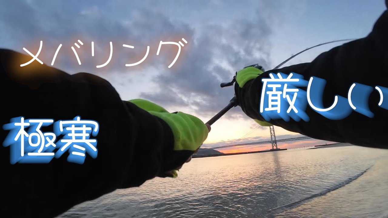 1/31 厳しかったメバリング。