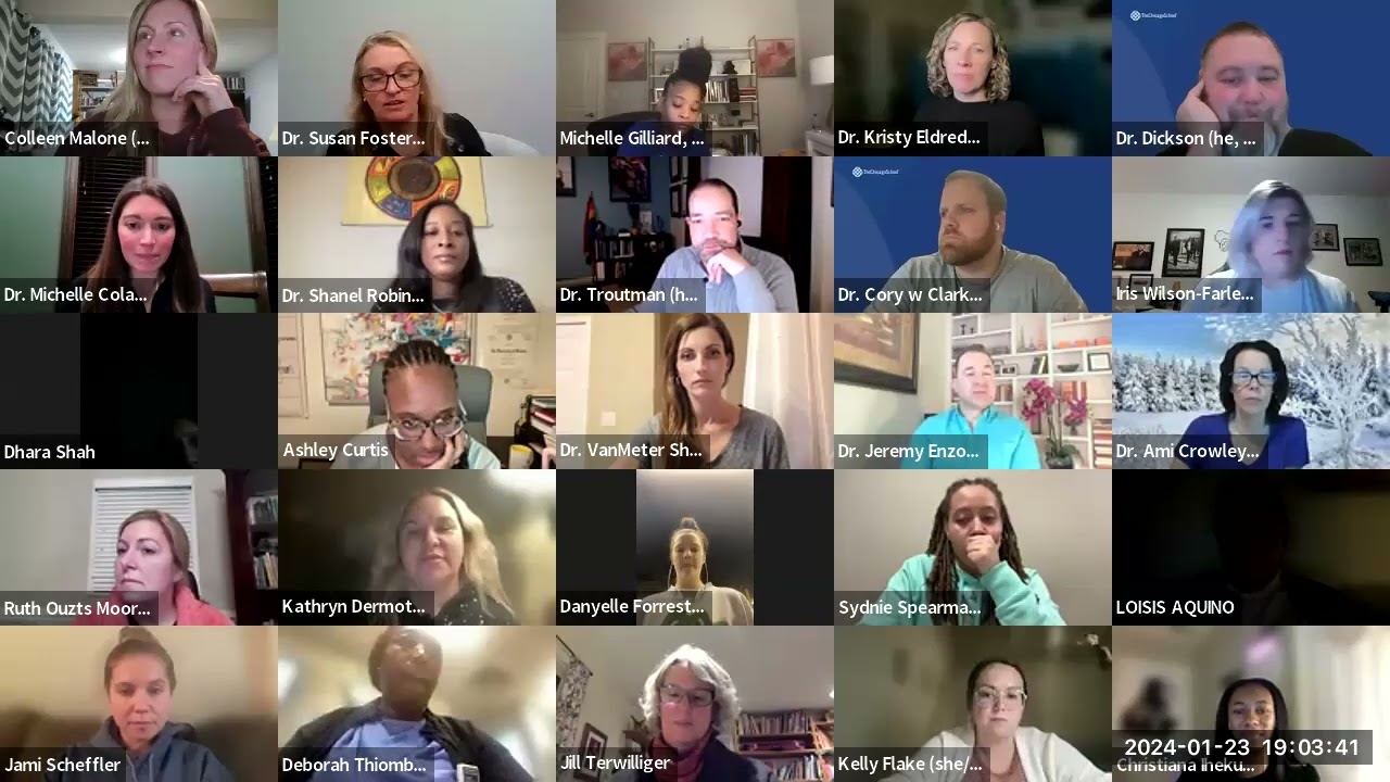 Spring 1, 2024 Town Hall Advocacy in the Profession